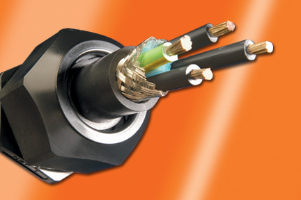 V16004 BK199
